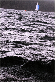 Rain / ***