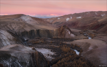 Pink Dawn / ***