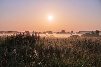 Pink mist. / ***