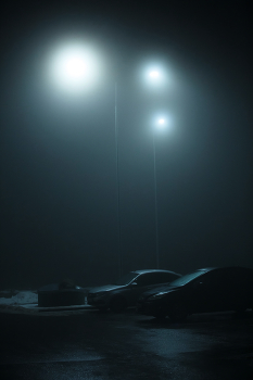 night fog / ***