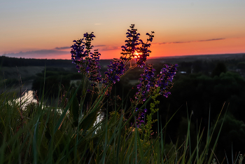 Sunrise / ***