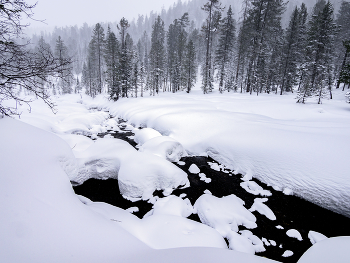 Snow / ***