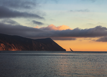 &nbsp; / ***