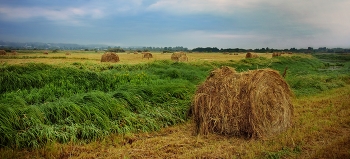 on haymaking / ***