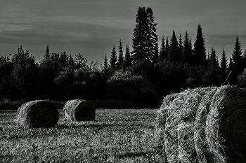 Summer evening. / ***