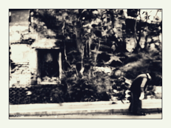 The road to heaven / ***