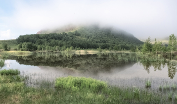 Foggy morning / ***
