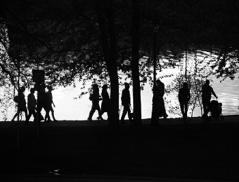 Shadow play / ***