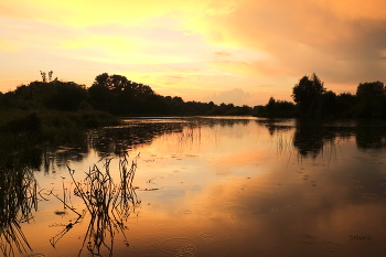 Evening / ***