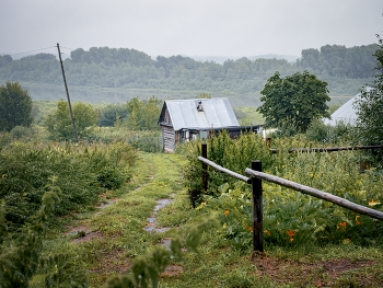 House by the River / ***