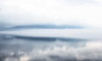 weightlessness / ***
