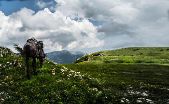 Landscape / ***