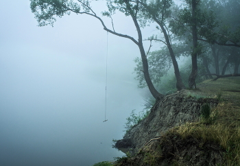 &nbsp; / ***