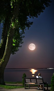 Time to dream / ***