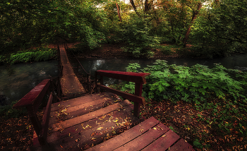 Bridge / ***
