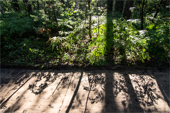 Shadow play / ***