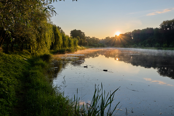 Early morning / ***