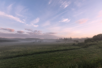 Pink morning / ***