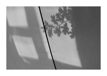 Window / ***
