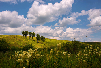 July afternoon / ***