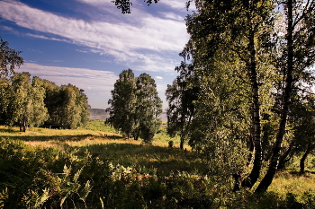 Evening. / ***
