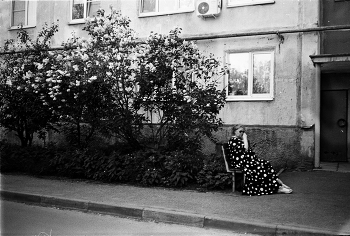 Spot / ***
