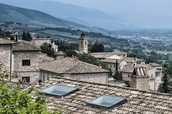 &nbsp; / ***