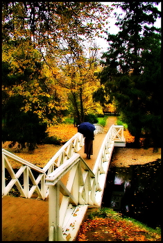 Boldin Autumn / ***