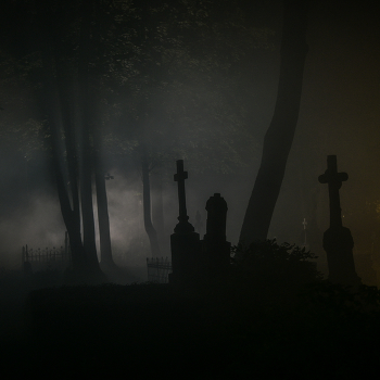 Silhouettes. / ***