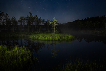 Night / ***