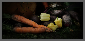 peppers / ***