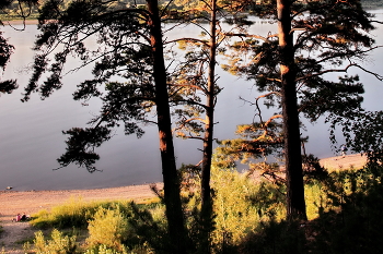 Summer evening. / ***
