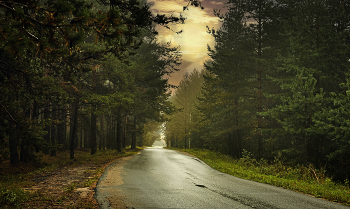 After the rain / ***