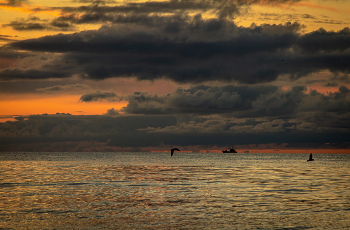 Sunsets / ***