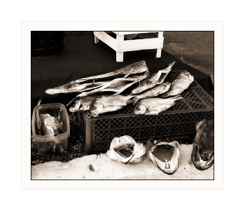Podium / ***