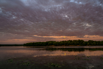 On the Oka River. / ***