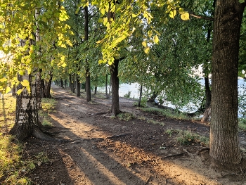 &nbsp; / ***