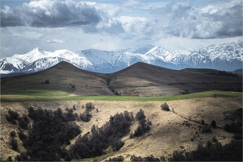 Caucasus / ***