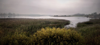 Peace and quiet. / ***