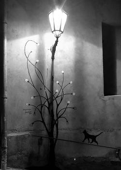 Night / ***