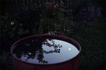 Evening / ***