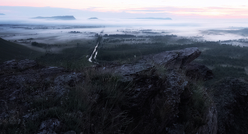Nature wakes up / ***