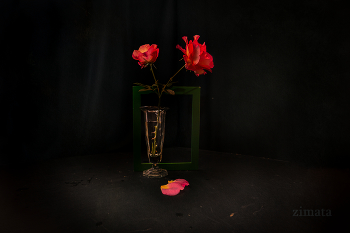 Still life with roses / ***