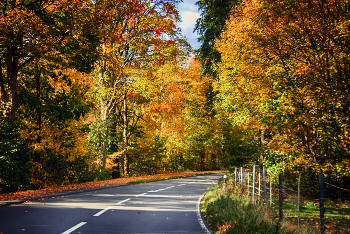 Autumn Gatchina / ***
