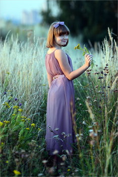Flowers of the field / ***