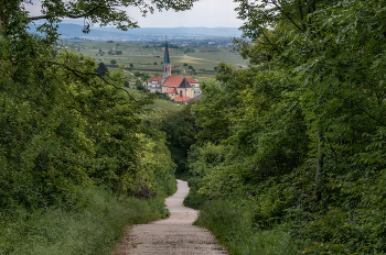The Green Trail / ***