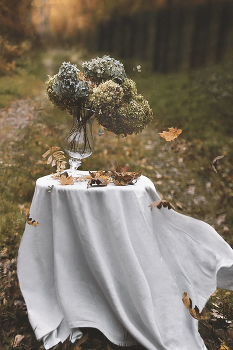 Autumn / ***