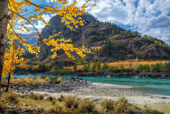 Altai Mountains / ***