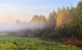 Morning on the edge / ***