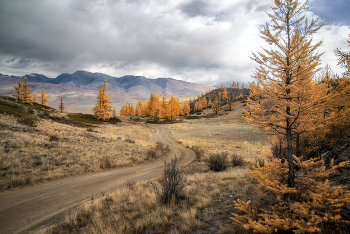 Altai Mountains / ***